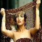 Aalok Fashions
