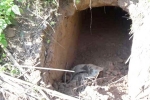 Tunnel discovered in Jammu and Kashmir, Pakistan, bsf found 20 meter tunnel from pakistan in sambha j k, Dharmedra pareek