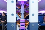 Air New Zealand Economy Flights, Air New Zealand Bunk Beds, air new zealand introduces bunk beds in economy flights, Nikhil