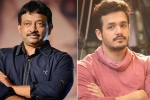 Akhil Akkineni latest, Nagarjuna, akhil rgv film in trouble, Casting couch Akhil Akkineni latest, Nagarjuna, akhil rgv film in trouble, Casting couch