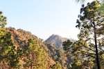 Kasauli breaking, Kasauli visuals, amazing things to do and see in kasauli, Sweet