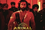 Animal, Animal film, record breaking nominations for animal, Celebrate