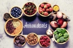 Antioxidants for body, Antioxidants, why are antioxidants important, Chia seeds