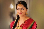 Bhagmati latest, Anushka Bhagmati, massive set for anushka s bhagmati, Rudhramadevi