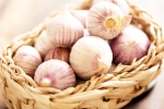 Chinese garlic breaking, Chinese garlic, how to identify banned chinese garlic in the indian market, Rajkot
