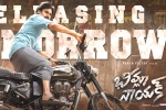 Pawan Kalyan, Bheemla Nayak theatrical business, bheemla nayak fever all over, Telangana government