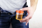 Hidden Kidney Cancer Risks new updates, Hidden Kidney Cancer Risks tips, spotting blood in urine can reveal hidden kidney cancer risks, Smoking