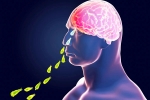 Brain-Eating Amoeba, Kerala PAM, brain eating amoeba in kerala why and how it spreads, Tamil