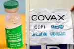 Covishield latest, Covishield, sii to resume covishield supply to covax, Covax