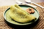 Curry Leaves Dosa preparation, Curry Leaves Dosa videos, recipe curry leaves dosa, Curry leaves dosa