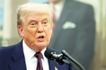 Sergio Gor latest, Sergio Gor, donald trump names close political aide as india ambassador, South asia