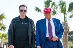 Elon Musk latest, Elon Musk news, donald trump finally addresses rumors about elon musk, Phoenix