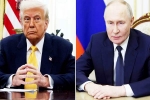 Donald Trump, Donald Trump and Vladimir Putin meeting, all about donald trump and vladimir putin s call, Vladimir putin