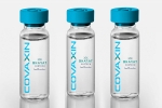 EUL for Covaxin news, EUL for Covaxin updates, who delays the eul decision on covaxin, Covax