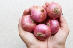 Raw Onions latest, Raw Onions good or bad, possible side effects of eating raw onions, Eyes Raw Onions latest, Raw Onions good or bad, possible side effects of eating raw onions, Eyes