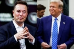 Elon Musk and Donald Trump latest, Elon Musk and Donald Trump latest, elon musk s big bet on donald trump, Nelson Elon Musk and Donald Trump latest, Elon Musk and Donald Trump latest, elon musk s big bet on donald trump, Nelson