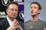 Elon Musk Vs Mark Zuckerberg latest, Elon Musk Vs Mark Zuckerberg, elon musk vs mark zuckerberg rivalry, Billionaires