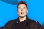 Elon Musk breaking updates, Elon Musk breaking updates, elon musk s new ultimatum to twitter staffers, Tesla