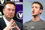 Elon Musk and Mark Zuckerberg war, Elon Musk and Mark Zuckerberg latest, elon vs zuckerberg mma fight ahead, Billionaires