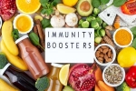 Immunity Tips articles, Immunity Tips breaking, interesting science backed tips to feel your best, Harvard university