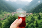 International Tea Day breaking, International Tea Day significance, international tea day 2025 facts and significance, Lifestyle