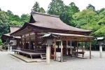 Japan Viral Mikami Shrine videos, Japan Viral Mikami Shrine latest breaking, why are travellers flocking to japan s viral mikami shrine, Box