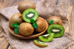 Kiwi health news, Kiwi good for health, health benefits of taking kiwi in your diet, Powder Kiwi health news, Kiwi good for health, health benefits of taking kiwi in your diet, Powder
