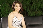 Samantha new film, Samantha news, samantha s cameo in manmadhudu 2, Telugu actress