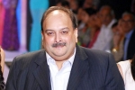 Mehul Choksi latest breaking, Mehul Choksi, mehul choksi s extradition india s assurance to belgium, Punjab national bank