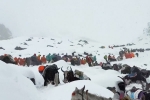 Mount Everest Snow storm breaking, Mount Everest Snow storm, more than 1000 stranded near mount everest because of snow storm, Accident