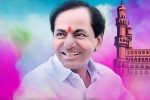 Indians abroad, trs victory, nris in saudi celebrate trs victory, Telangana rashtra samithi