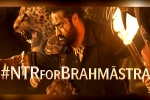 Brahmastra, NTR for Brahmastra, ntr turns chief guest for brahmastra event, Brahmastra event
