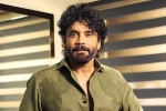 Nagarjuna Personal Rights new updates, Nagarjuna Personal Rights latest breaking, delhi high on nagarjuna s personal rights, Anil kapoor