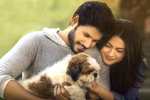 Ninu Veedani Needanu Nene movie review, Ninu Veedani Needanu Nene Movie Tweets, ninu veedani needanu nene movie review rating story cast and crew, Ninu veedani needanu nene movie review