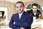 Nehal Deepak Modi in USA, Nehal Deepak Modi new breaking, nirav modi s brother arrested in usa, Cbi