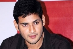 Mahesh Babu updates, Mahesh Babu latest, no clarity on mahesh s next title, Sambha