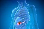 Pancreatic Cancer health risk, Pancreatic Cancer health, how to protect yourself from pancreatic cancer, World health organization