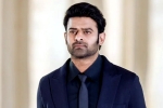 Prabhas and Maruthi film, Prabhas, new updates of prabhas and maruthi film, Boman irani