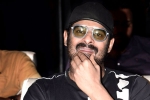 People Media Factory, People Media Factory, prabhas next film launched, A maruthi film