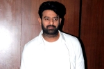 Maruthi, Prabhas film breaking news, two beauties locked to romance prabhas, A maruthi film