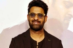 Prabhas Vintage King, Prabhas Vintage King latest, interesting title for prabhas next, Maruthi