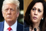 Amy Tripp statement, USA Presidential Elections 2024, astrologer predictions about the new us president, Us presidential elections 2024