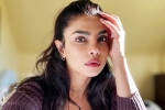 Priyanka Chopra Don't Look For Virgin Wife, Priyanka Chopra latest, priyanka chopra breaks silence on don t look for virgin wife comment, Mahesh babu