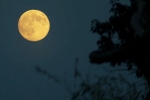 Supermoon 2025 latest breaking, Supermoon 2025, science behind supermoon explained, Lunar Supermoon 2025 latest breaking, Supermoon 2025, science behind supermoon explained, Lunar