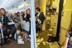 Singapore Airlines turbulence horror accident, Singapore Airlines turbulence horror news, one dead and 30 injured in singapore airlines turbulence horror, Singapore airlines turbulence
