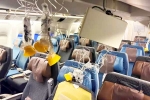 Singapore Airlines turbulence horror news, Singapore Airlines, singapore airlines statement after turbulence horror, Singapore airlines turbulence