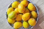 Soak Mangoes updates, Soak Mangoes updates, soak mangoes for 30 minutes before eating, Rti