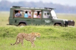 South African Safari Trip, South African Safari Trip total days, how to plan your south african safari trip, Animal