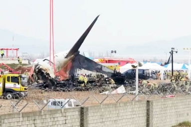 Pilot made &lsquo;mayday&rsquo; call and mentioned bird strike in South Korea Plane Crash