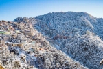 Summer Snowfall India breaking, Summer Snowfall India breaking, indian places to see snowfall in summer, Flower